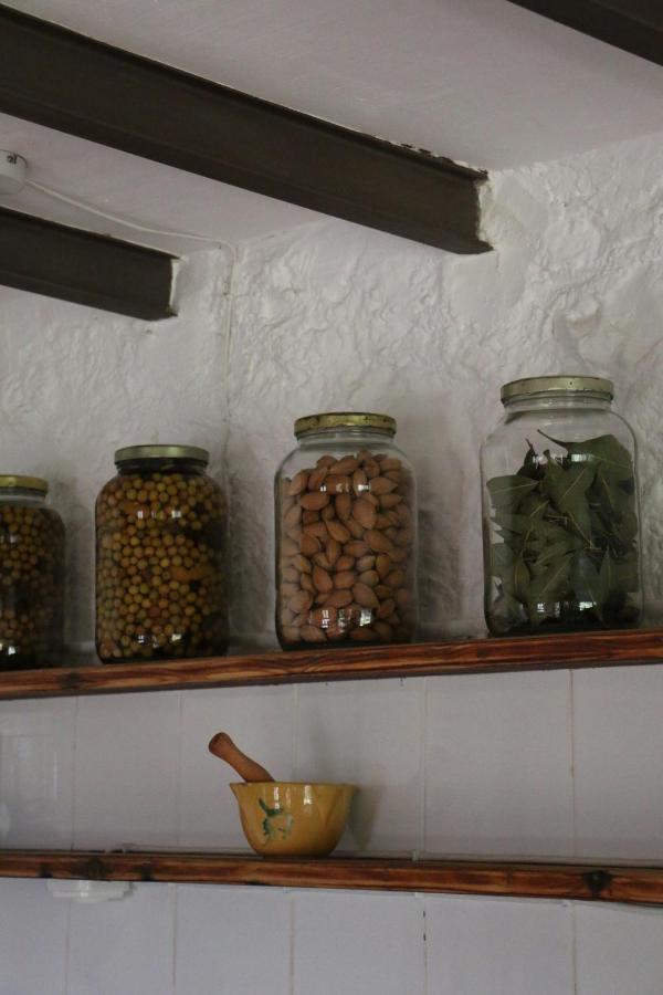 Casa Ecologica En Plena Naturaleza Arboli ภายนอก รูปภาพ
